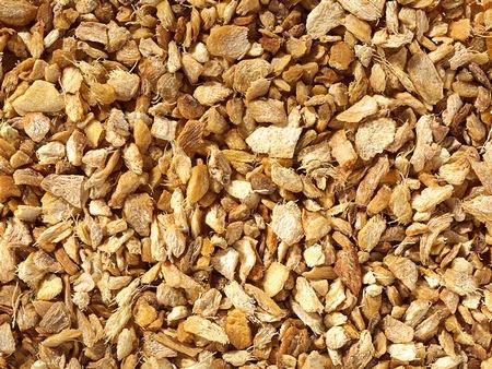Gember (Zingiber Officinalis Roscoe)